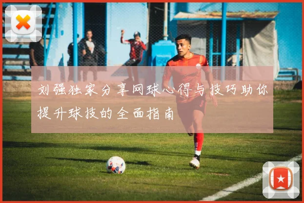 刘强独家分享网球心得与技巧助你提升球技的全面指南